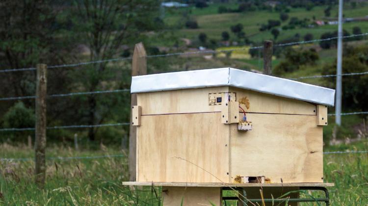 WeeHive physical prototype